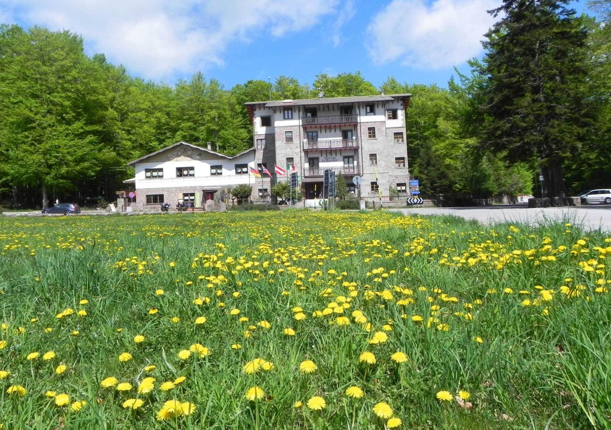 Albergo Le Macinaie - Monte Amiata Castel del Piano  Exterior foto